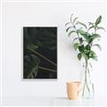 Picture of Tropical Palm Leaves I _GroupedProduct_Rectangle_Portrait_Canvas_Framed_