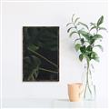 Picture of Tropical Palm Leaves I _GroupedProduct_Rectangle_Portrait_Canvas_Framed_