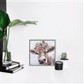 Picture of Heidi I _GroupedProduct_Square_Canvas_Framed_