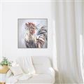 Picture of Gallic Rooster IV _GroupedProduct_Square_Canvas_Framed_