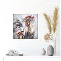 Picture of Gallic Rooster III _GroupedProduct_Square_Canvas_Framed_
