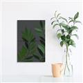 Picture of Vein Leaves I _GroupedProduct_Rectangle_Portrait_Unframed_Print_Only_