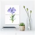 Picture of Purple Petunia I _GroupedProduct_Rectangle_Portrait_Unframed_Print_Only_