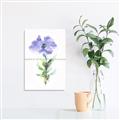 Picture of Purple Petunia I _GroupedProduct_Rectangle_Portrait_Unframed_Print_Only_