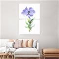 Picture of Purple Petunia I _GroupedProduct_Rectangle_Portrait_Unframed_Print_Only_