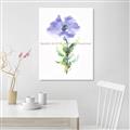 Picture of Purple Petunia I _GroupedProduct_Rectangle_Portrait_Unframed_Print_Only_