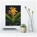 Picture of Indoor Plant _GroupedProduct_Rectangle_Portrait_Unframed_Print_Only_