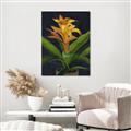 Picture of Indoor Plant _GroupedProduct_Rectangle_Portrait_Unframed_Print_Only_