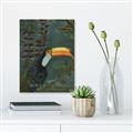 Picture of Long Beak I _GroupedProduct_Rectangle_Portrait_Unframed_Print_Only_