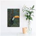 Picture of Long Beak I _GroupedProduct_Rectangle_Portrait_Unframed_Print_Only_