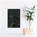Picture of Tropical Palm Leaves I _GroupedProduct_Rectangle_Portrait_Unframed_Print_Only_