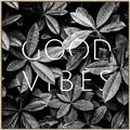 Picture of Good Vibes VII _GroupedProduct_Square_Photography _GroupedProduct_Square_Canvas_Framed_