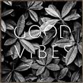 Picture of Good Vibes VII _GroupedProduct_Square_Photography _GroupedProduct_Square_Canvas_Framed_