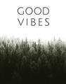 Picture of Good Vibes II _GroupedProduct_Rectangle_Portrait_Photography _GroupedProduct_Rectangle_Portrait_Unframed_Print_Only_