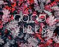 Picture of Good Vibes III _GroupedProduct_Rectangle_Landscape_Photography _GroupedProduct_Rectangle_Landscape_Unframed_Print_Only_