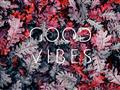 Picture of Good Vibes III _GroupedProduct_Rectangle_Landscape_Photography _GroupedProduct_Rectangle_Landscape_Unframed_Print_Only_