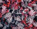 Picture of Good Vibes III _GroupedProduct_Rectangle_Landscape_Photography _GroupedProduct_Rectangle_Landscape_Unframed_Print_Only_