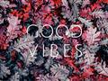 Picture of Good Vibes III _GroupedProduct_Rectangle_Landscape_Photography _GroupedProduct_Rectangle_Landscape_Unframed_Print_Only_
