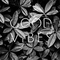 Picture of Good Vibes VII _GroupedProduct_Square_Photography _GroupedProduct_Square_Unframed_Print_Only_