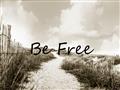 Picture of Be Free I _GroupedProduct_Rectangle_Landscape_Photography _GroupedProduct_Rectangle_Landscape_Unframed_Print_Only_