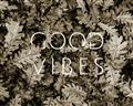 Picture of Good Vibes III _GroupedProduct_Rectangle_Landscape_Photography _GroupedProduct_Rectangle_Landscape_Unframed_Print_Only_