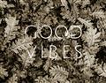 Picture of Good Vibes III _GroupedProduct_Rectangle_Landscape_Photography _GroupedProduct_Rectangle_Landscape_Unframed_Print_Only_