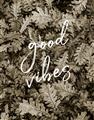 Picture of Good Vibes IV _GroupedProduct_Rectangle_Portrait_Photography _GroupedProduct_Rectangle_Portrait_Unframed_Print_Only_