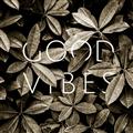 Picture of Good Vibes VII _GroupedProduct_Square_Photography _GroupedProduct_Square_Unframed_Print_Only_
