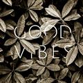 Picture of Good Vibes VII _GroupedProduct_Square_Photography _GroupedProduct_Square_Unframed_Print_Only_