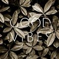 Picture of Good Vibes VII _GroupedProduct_Square_Photography _GroupedProduct_Square_Unframed_Print_Only_