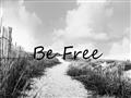 Picture of Be Free I _GroupedProduct_Rectangle_Landscape_Photography _GroupedProduct_Rectangle_Landscape_Unframed_Print_Only_