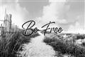 Picture of Be Free II _GroupedProduct_Rectangle_Landscape_Photography _GroupedProduct_Rectangle_Landscape_Unframed_Print_Only_