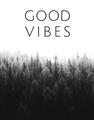 Picture of Good Vibes II _GroupedProduct_Rectangle_Portrait_Photography _GroupedProduct_Rectangle_Portrait_Unframed_Print_Only_