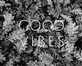 Picture of Good Vibes III _GroupedProduct_Rectangle_Landscape_Photography _GroupedProduct_Rectangle_Landscape_Unframed_Print_Only_