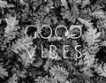 Picture of Good Vibes III _GroupedProduct_Rectangle_Landscape_Photography _GroupedProduct_Rectangle_Landscape_Unframed_Print_Only_