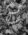 Picture of Good Vibes IV _GroupedProduct_Rectangle_Portrait_Photography _GroupedProduct_Rectangle_Portrait_Unframed_Print_Only_