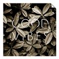 Picture of Good Vibes VII _GroupedProduct_Square_Photography _GroupedProduct_Square_Unframed_Print_Only_
