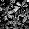 Picture of Good Vibes VII _GroupedProduct_Square_Photography _GroupedProduct_Square_Unframed_Print_Only_