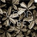 Picture of Good Vibes VII _GroupedProduct_Square_Photography _GroupedProduct_Square_Unframed_Print_Only_