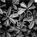 Picture of Good Vibes VII _GroupedProduct_Square_Photography _GroupedProduct_Square_Unframed_Print_Only_