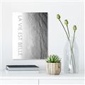 Picture of La Vie Est Belle  _GroupedProduct_Rectangle_Portrait_Photography _GroupedProduct_Rectangle_Portrait_Unframed_Print_Only_