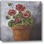 Picture of Clay Potted Plants