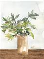 Picture of Potted Greens II _GroupedProduct_Rectangle_Portrait_Unframed_Print_Only_