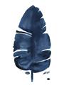 Picture of Blue Tropical Leaf II _GroupedProduct_Rectangle_Portrait_Unframed_Print_Only_