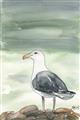 Picture of Sea Gull _GroupedProduct_Rectangle_Portrait_Unframed_Print_Only_