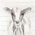 Picture of Frontal Cow Portrait _GroupedProduct_Square_Unframed_Print_Only_