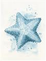 Picture of Teal Starfish _GroupedProduct_Rectangle_Portrait_Unframed_Print_Only_