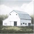 Picture of Barn Field I _GroupedProduct_Square_Canvas_