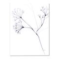 Picture of Flowering Tree Twigs II _GroupedProduct_Rectangle_Portrait_Canvas_