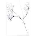 Picture of Flowering Tree Twigs II _GroupedProduct_Rectangle_Portrait_Canvas_